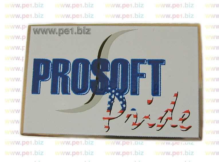 סיכות -ציפוי-אפוקסי שקוף