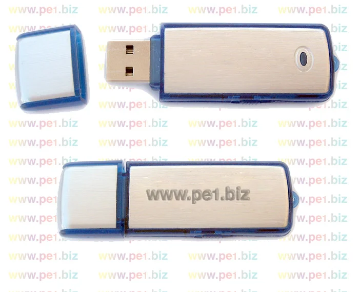 זיכרון נייד