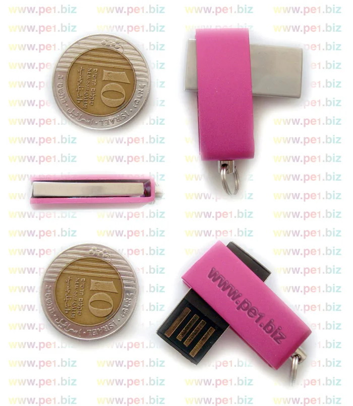 זיכרון נייד