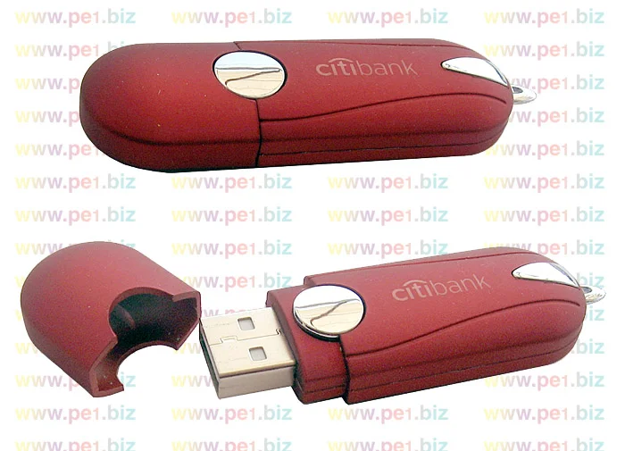 זיכרון נייד