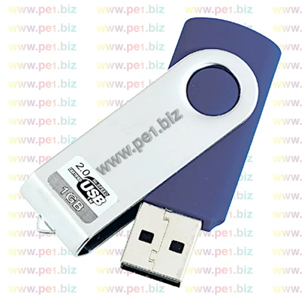 זיכרון נייד